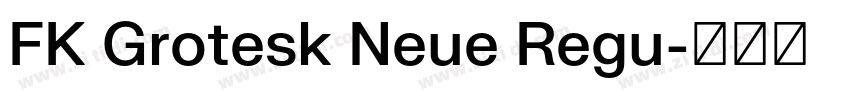 FK Grotesk Neue Regu字体转换 FK Grotesk Neue Regu字体转换